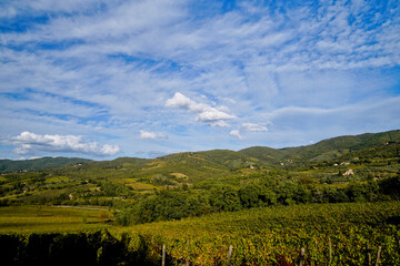 Le colline e i vigneti di Radda in Chianti. Panorama autunnale. Toscana. Italia