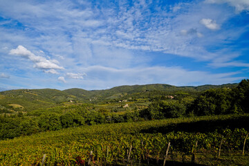 Le colline e i vigneti di Radda in Chianti. Panorama autunnale. Toscana. Italia