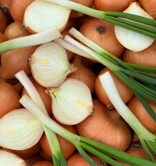 harvest organic onion. concept of organic vegetables