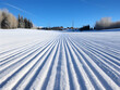Freshly groomed ski piste with parallel lines, set against a backdrop of trees and clear blue sky.