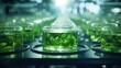 science technology research of green alga biofuel in laboratory, biotechnology industry with alternative natural experiment, biodiesel oil fuel energy from plant to sustainable environment
