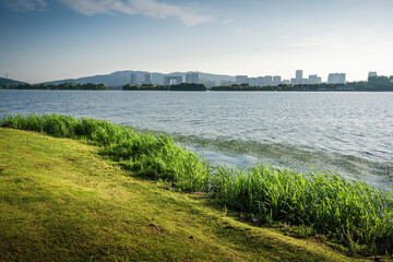 Canvas Print - Beautiful city park with lake, trees and mountains