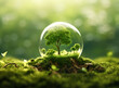 Tree sprouts in a glass dome on a hill with moss against a leafy, environmental concept