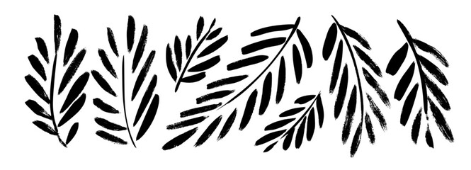Palm leaves and branches hand drawn vector collection.