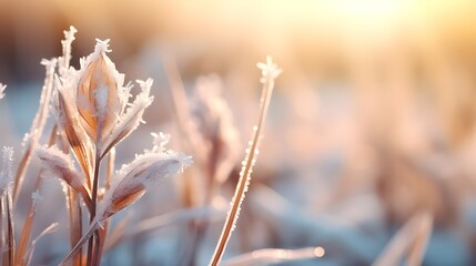 Wall Mural - Winter frozen landscape close up