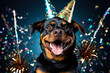 New Years Rottweiler dog holding a gold and glitter party cracker isolated on a white background 