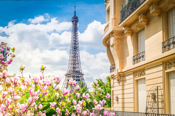 Poster - famous Eiffel Tower landmark and Paris summer street, Paris citscape, France