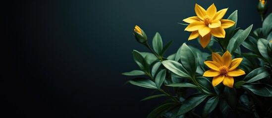 Wall Mural - attractive flower with yellow hue and leafy greens