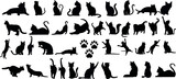 Fototapeta  - Cat Silhouettes Vector Illustration, perfect for Halloween, cat lovers. Features various cat poses, paw prints. Ideal for pet, animal, feline, domestic, house cat themes