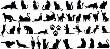 Cat Silhouettes Vector Illustration, Perfect For Halloween, Cat Lovers. Features Various Cat Poses, Paw Prints. Ideal For Pet, Animal, Feline, Domestic, House Cat Themes