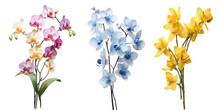 Set Of Colorful Orchid Flowers Branch Isolated On Transparent Background. Generative AI
