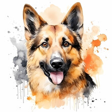 Alsatian Dog, Watercolor Illustration.