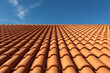 © Armands photography - Clay tile roof close-up. New roofing made of orange clay tiles with blue sky in the background, free space for text, copy space