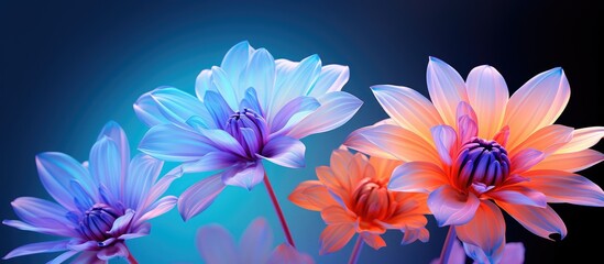 Poster - Vibrant color flower gentle backdrop