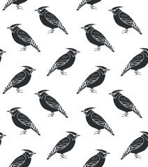 Canvas Print - Vector seamless pattern of hand drawn doodle sketch black waxwing bird isolated on white background