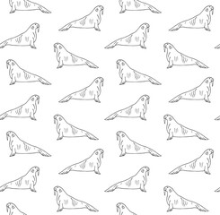 Poster - Vector seamless pattern of hand drawn doodle sketch walrus isolated on white background