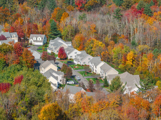 Poster - Aerial view of suburban housing community in autumn season with colorful trees