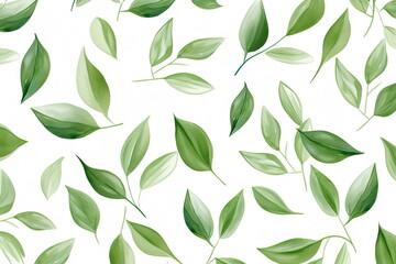 Wall Mural - green leaves on white background