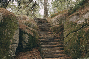 Old stone stairs in the forest - retro, vintage style look, Finland