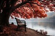 autumn park bench