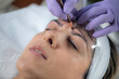 © Microgen - A skilled beautician carefully assesses brow shape with precision before semi-permanent makeup, microblading, for natural beauty.