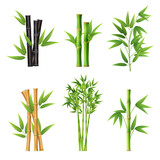 Fototapeta Sypialnia - Bamboo plants. Realistic illustration templates of different colors of bamboo stick decent vector pictures