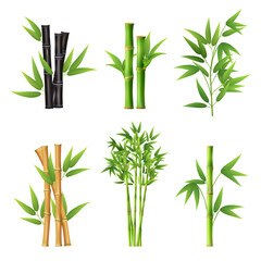 bamboo plants. realistic illustration templates of different colors of bamboo stick decent vector pi