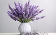 Fragrant Lavender in a Vase with white background