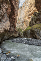 Wall Mural - A fast mountain river flows into a mountain gorge