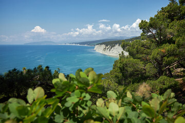 Wall Mural - Blue azure sea against a background of white sheer cliffs. Seascape of coastline, beautiful nature, landscape. Tourism travel