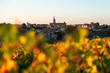 Le village de Saint Emilion avec les couleurs d'automne