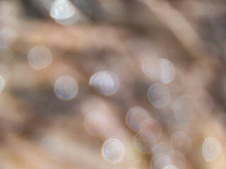 Wall Mural - Light brown background with white bokeh effect and purposely blurred view of sunlight. Blurry background with bokeh effect