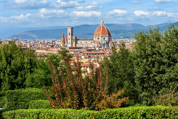 Wall Mural - Santa Maria del Fiore cathedral (Duomo) over city center, Florence, Italy