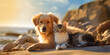golden retriever dog on the beach a cat and a dog on the beach Paw Shakes, Showing Friendship And Trust A heartwarming group portrait of a cute kitten, a golden retriever puppy, generative AI

