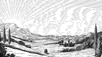 a landscape of rolling hills and sun in cloudy sky. original vintage rural farm or vineyard illustra