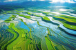 Green rice terraces in Asia, a stunning example of ecological farming practices.