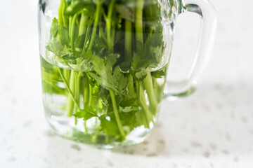 Wall Mural - Fresh parsley