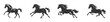 © Татьяна Петрова - Running horse black silhouette set. Vector illustration