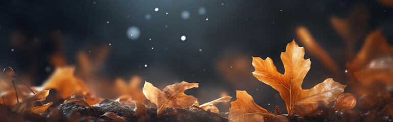 Wall Mural - autumn oak foliage bokeh lights header