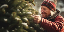Elderly Man Selecting A Perfect Christmas Tree.