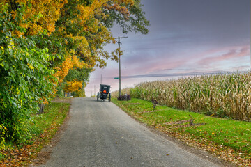 Sticker - An Amish Buggy Climbs a Hill