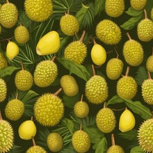 Durian Fruit Illustration Background