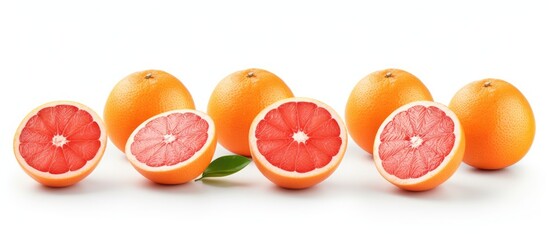 Poster - white background with grapefruits