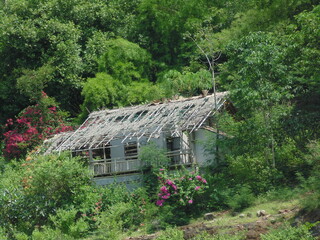 old house in the woods