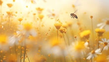 Blumen Pollen Fliegen Mit Viel Licht Auf Einer Bunten Blumenwiese Herum Als  Hintergrund