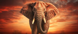 Fototapeta  - The close up photo of the majestic African elephant under the sunset sky at the Savannah field. Generative AI.