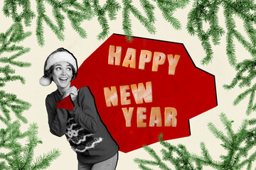 Poster - Collage picture of funky black white colors girl carry big happy new year presents bag evergreen tree branch festive magic