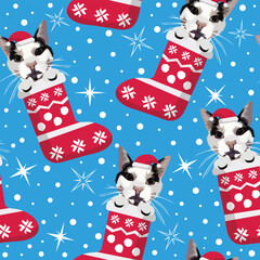 Wall Mural - Christmas pattern with cats in stockings. Kiten head in stocking, seamless pattern. Repeatable textile, wrapping paper, blue background, bright color. Winter wallpaper with snowflakes and stockings.