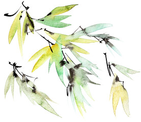 Tree branch with leaves