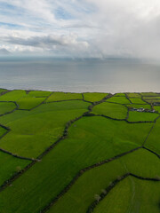 Wall Mural - Irland Landscape seen from Tara Hill at Wicklow county